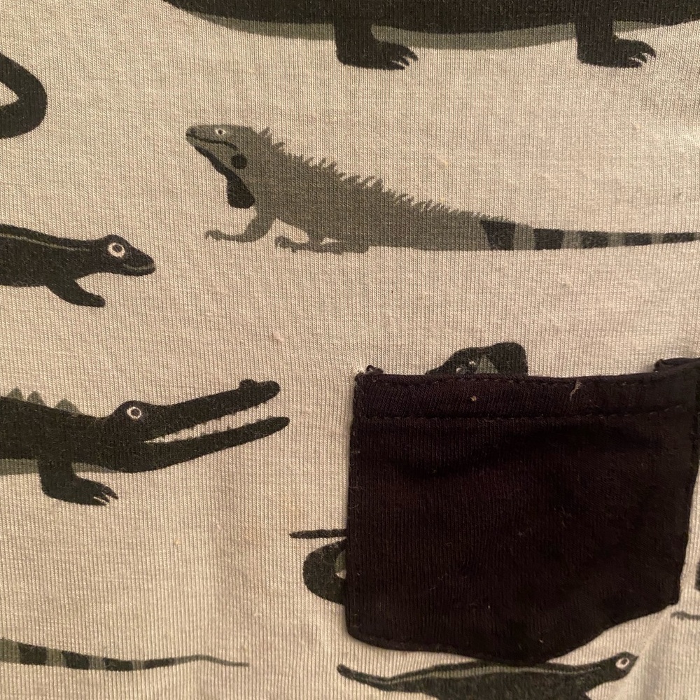 🐍🦎Kickee Bundle🦎🐍 - Picture 8 of 12